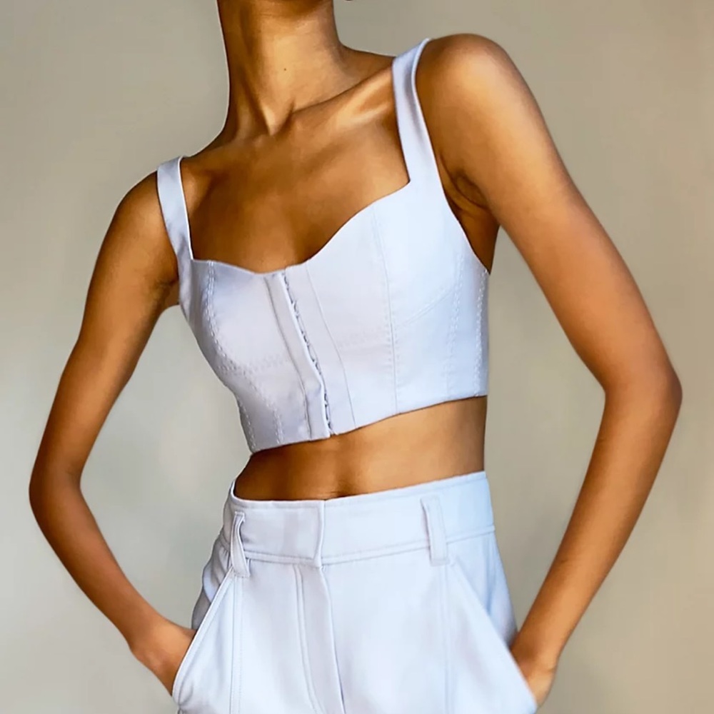 NWT Aritzia Corset Top